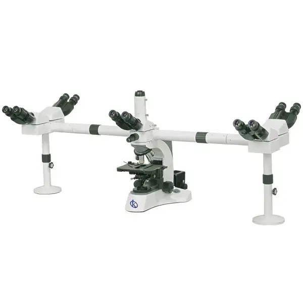 Microscopio binocular YR0233
