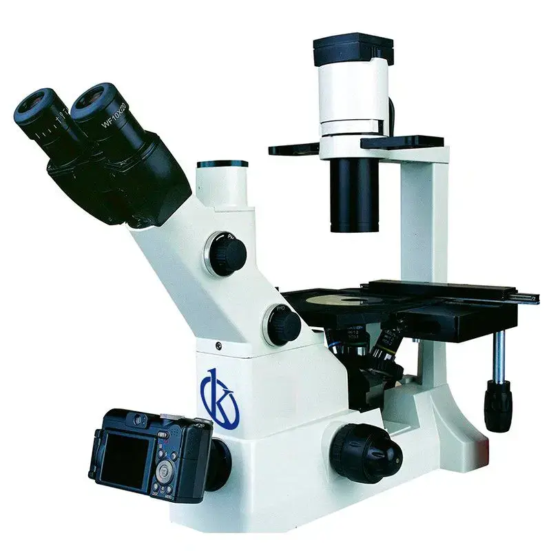Microscopio Trinocular YR0245