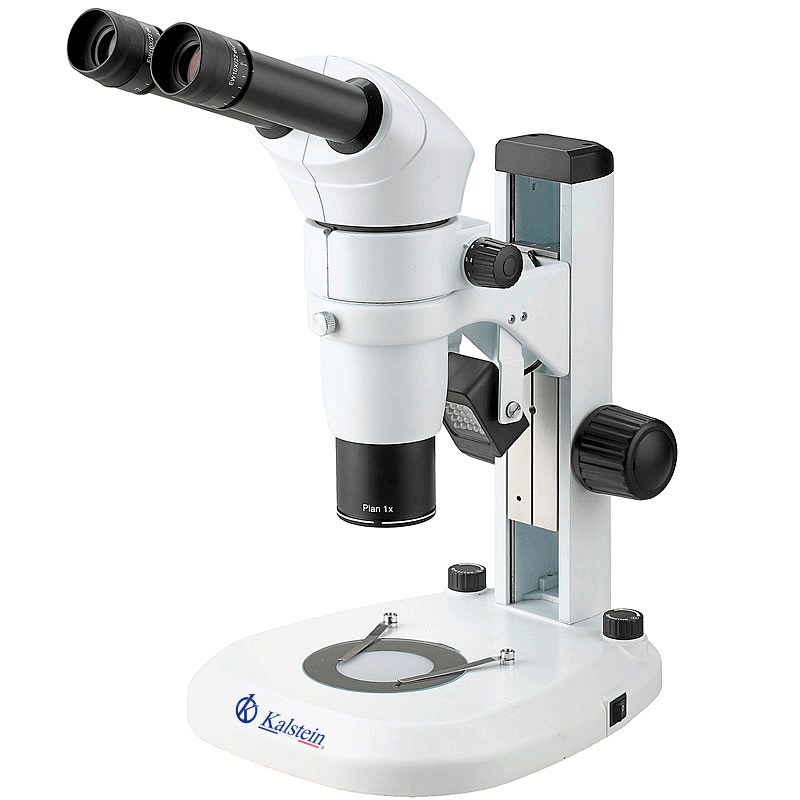 Microscopio binocular YR0248