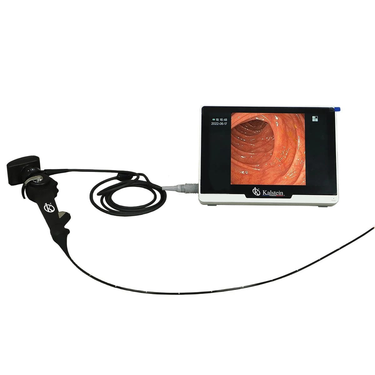 Endoscopio de Vídeo Veterinario Portátil YR06153