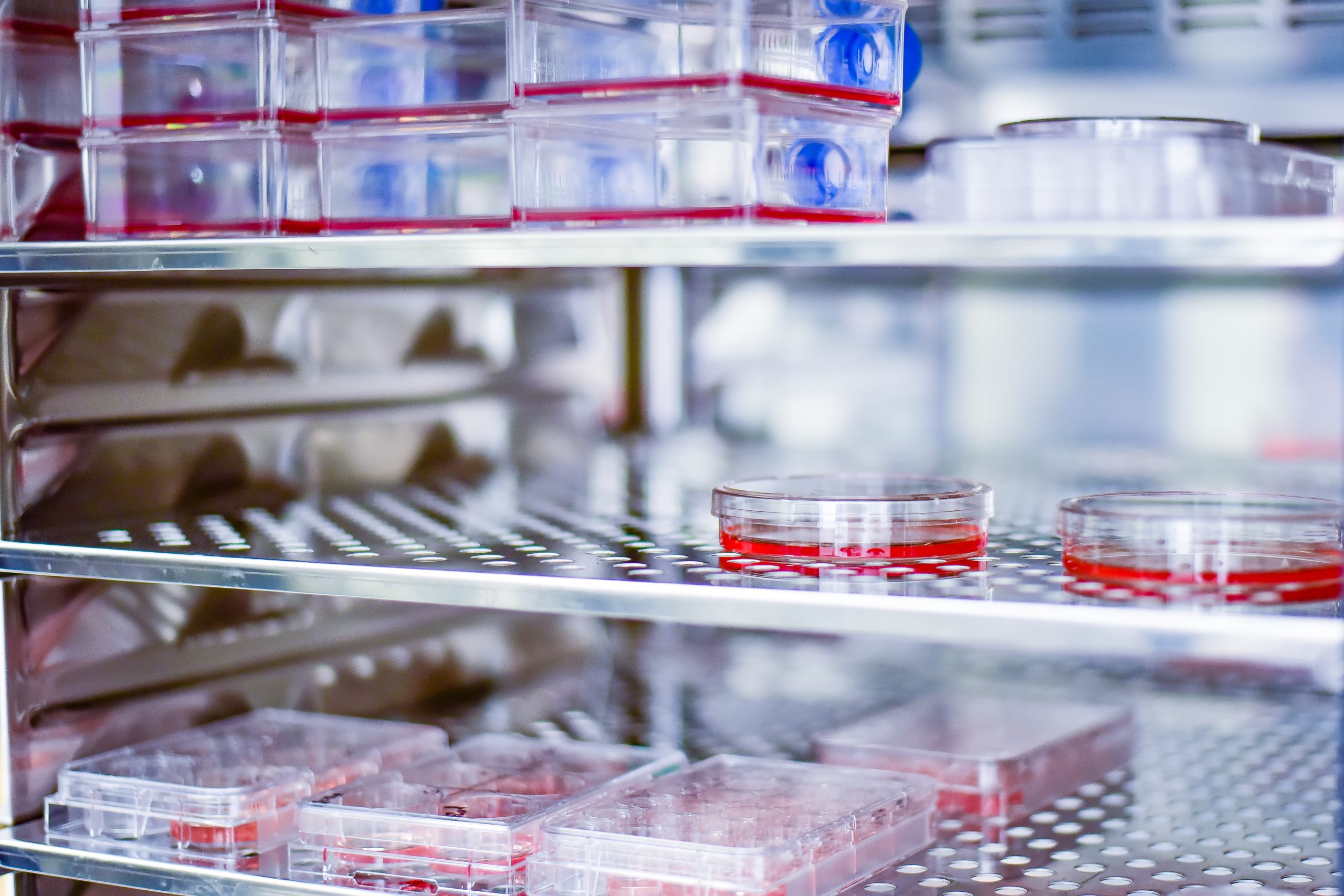 ¿Cómo se utiliza la incubadora de Laboratorio?