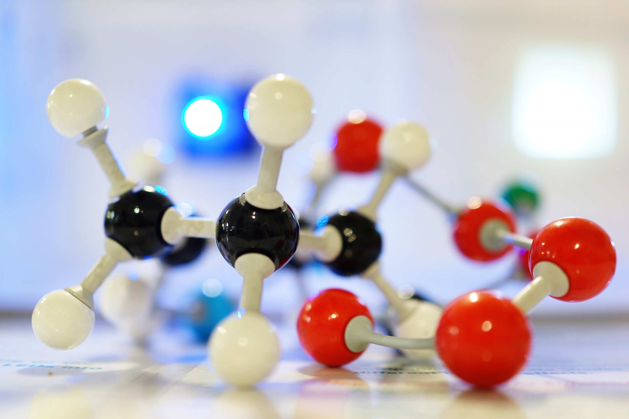 Importancia de la foto documentación en Biología Molecular