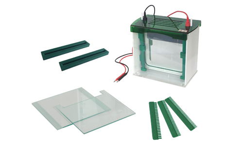 Electroforesis de Última Generación: Análisis Rápido y Preciso para Laboratorios de Investigación