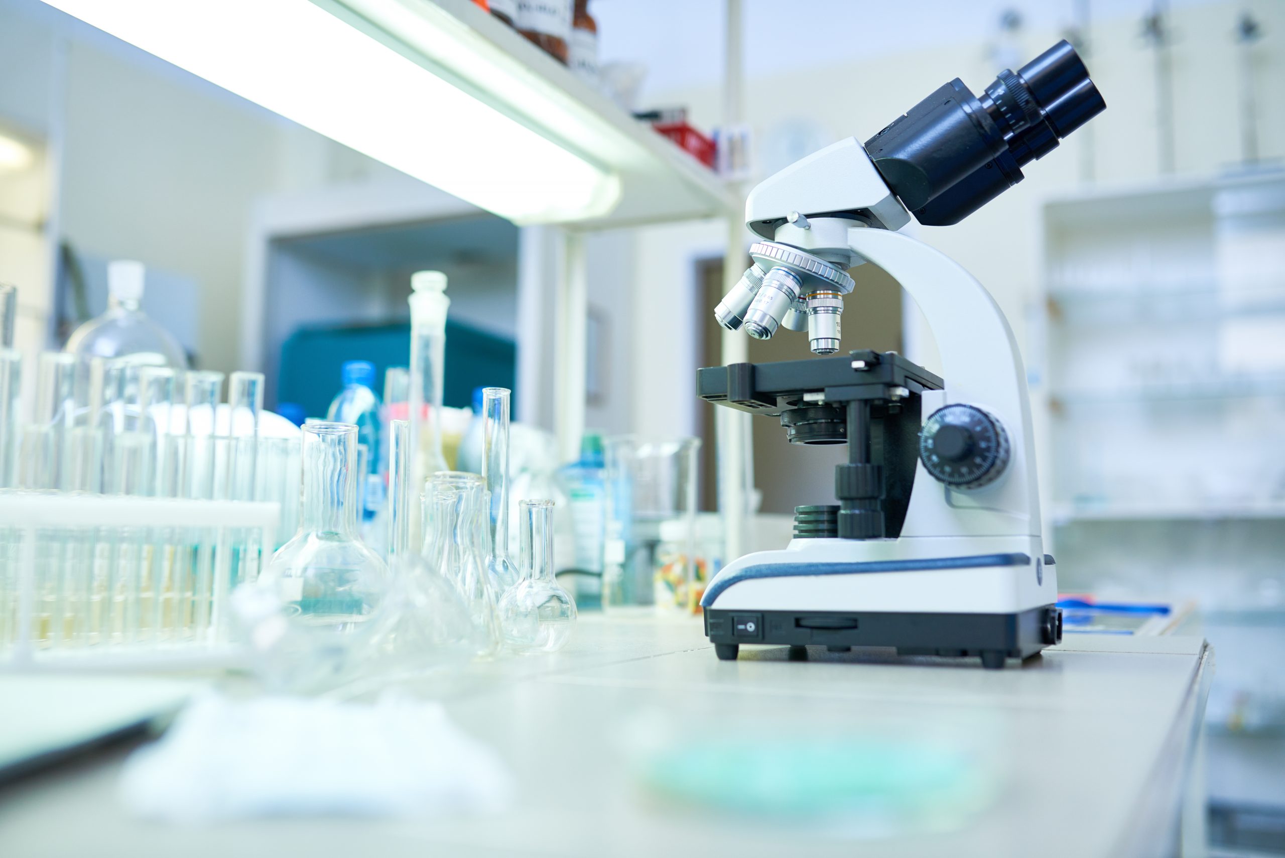 Tipos de microscopio para laboratorio y campo