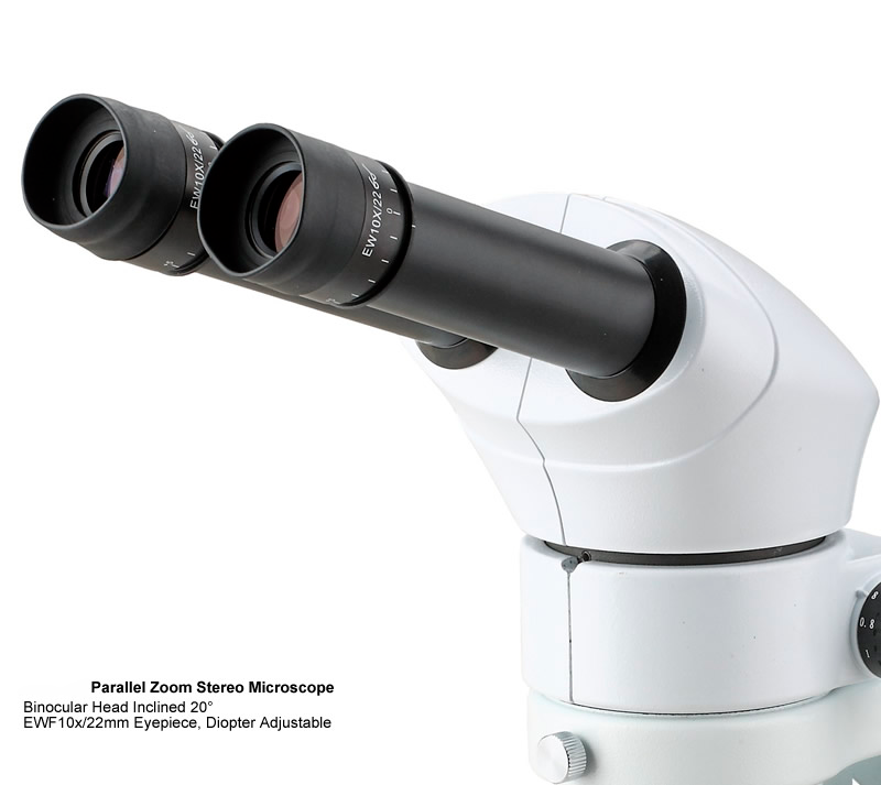 Microscopio Estereoscópico con zoom YR0246 // YR0248 – 1