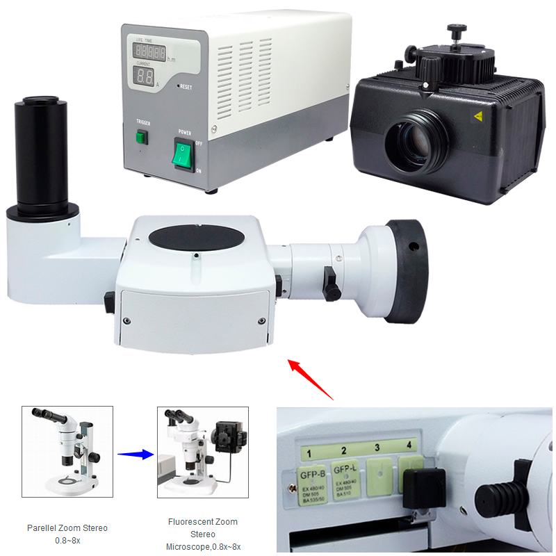 Microscopio Estereoscópico con zoom YR0246 // YR0248 – 5