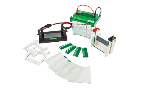 Electroforesis para la Separación Molecular Precisa para Resultados de Laboratorio Confiables