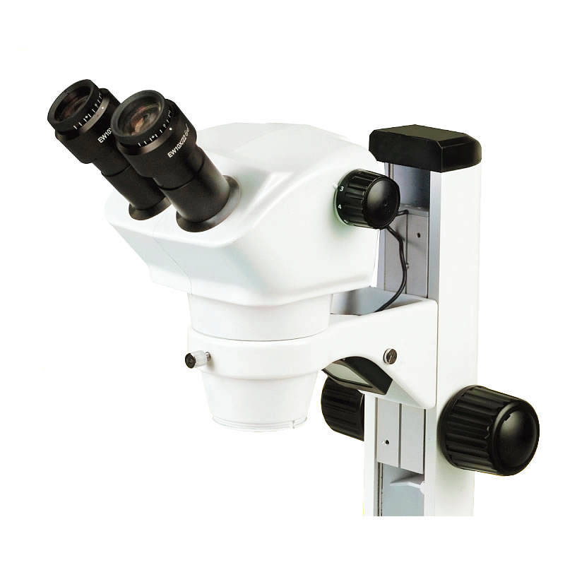 Microscopios Binoculares: YR0254 de Kalstein vs B120 de AmScope