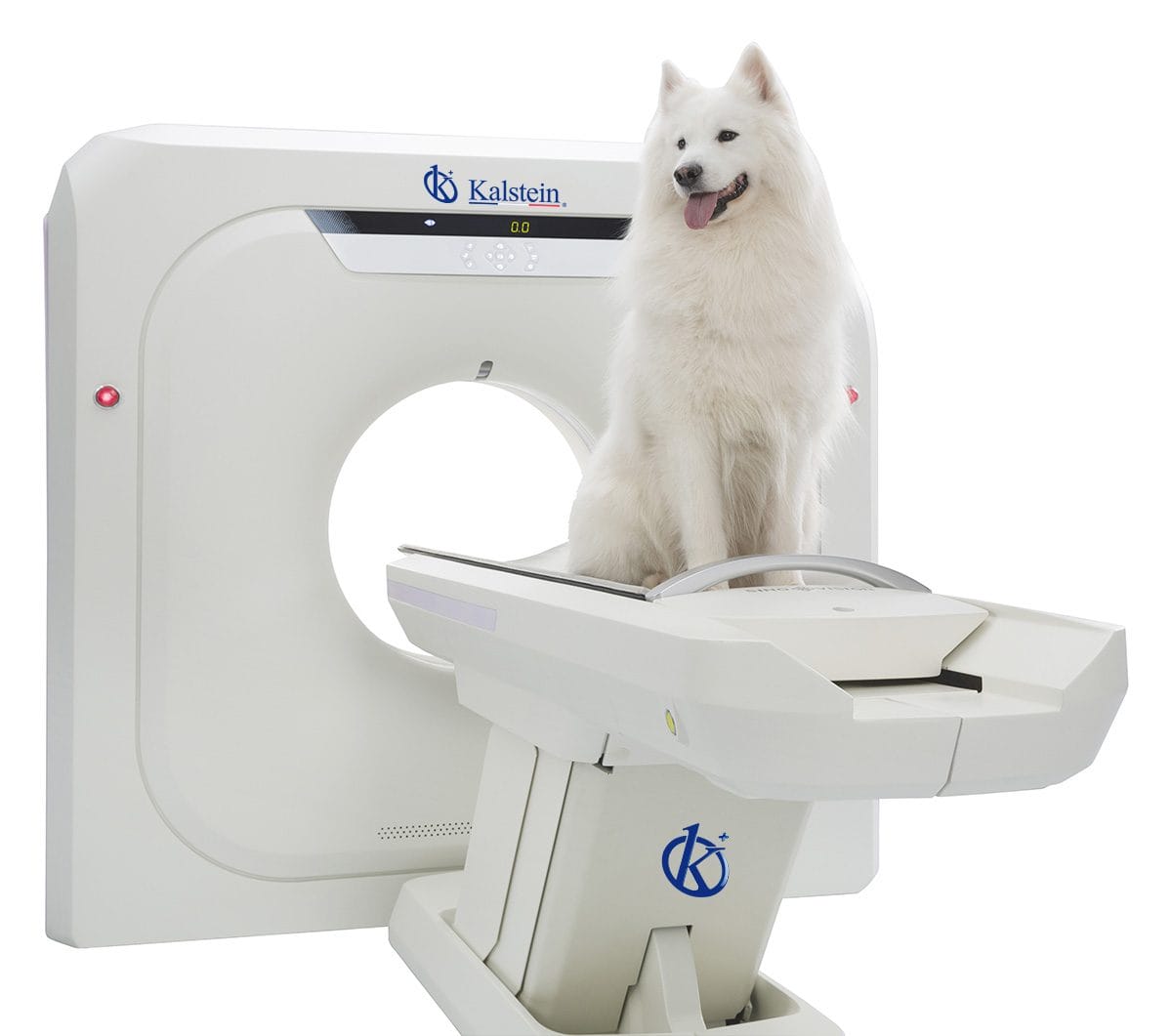 Innovación y Precisión: Comparativa del Escáner TC Veterinario YR06166 de Kalstein Frente al CT MODULA de Animage