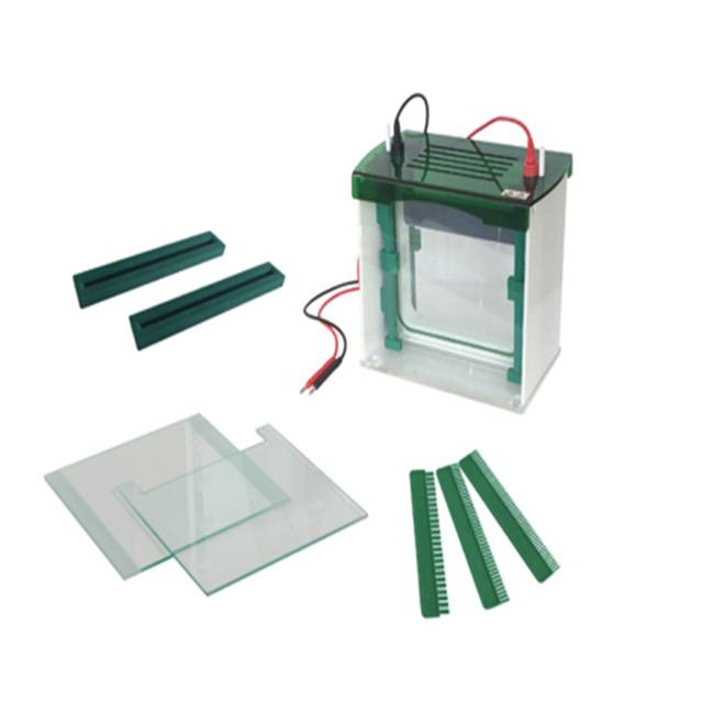 Comparativa Científica de Celdas de Electroforesis en Gel Vertical: Kalstein vs Bio-Rad