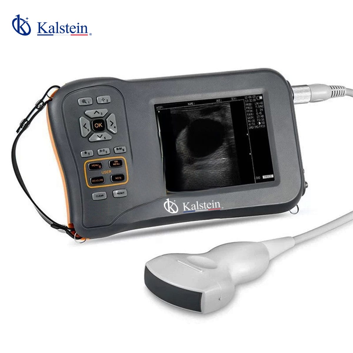 Ultrasonido Veterinario