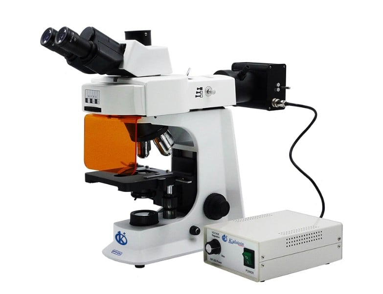 Microscopio LED Fluorescente Binocular YR06653