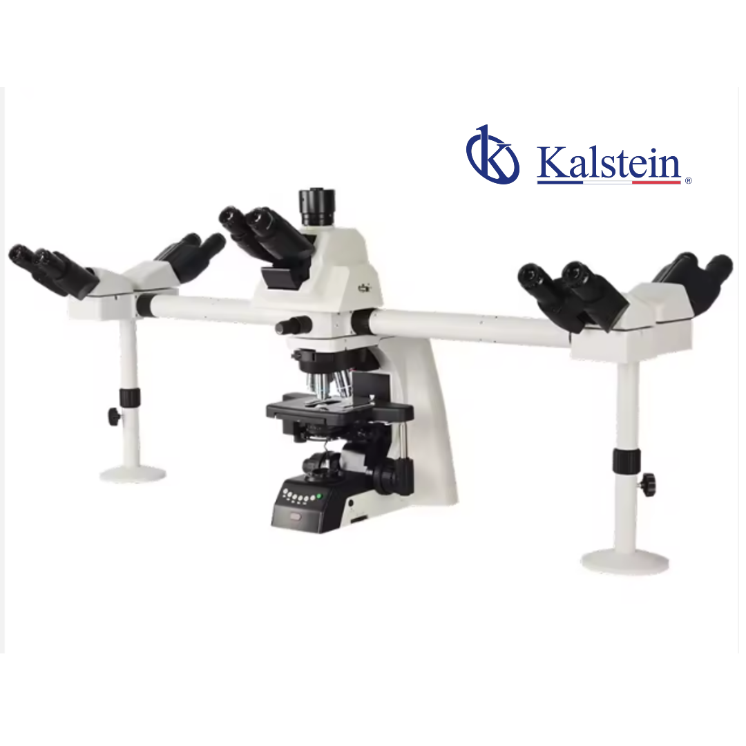 Microscopio de laboratorio para investigación con visión múltiple YR06688